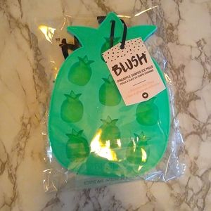NWT! Pineapple shaped ice mold